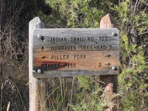 Miller Fork Junction with Indian trail